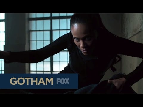 Promo for the Gotham Fall Finale