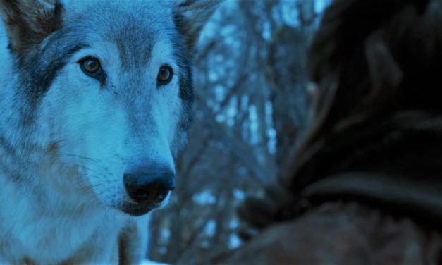 GAME OF THRONES: 5 Most Anticipated Season 8 Reunions