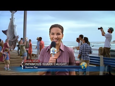 Sharknado Week vs. Shark Week