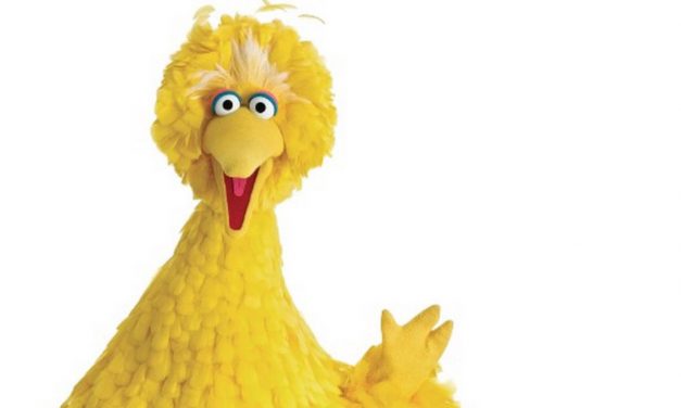 Watch Big Bird Rap About Summertime in This Hilarious Mashup