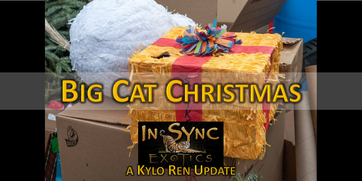Animal Sanctuary Update: Kylo Ren and Kenobi Get an Early Christmas Gift