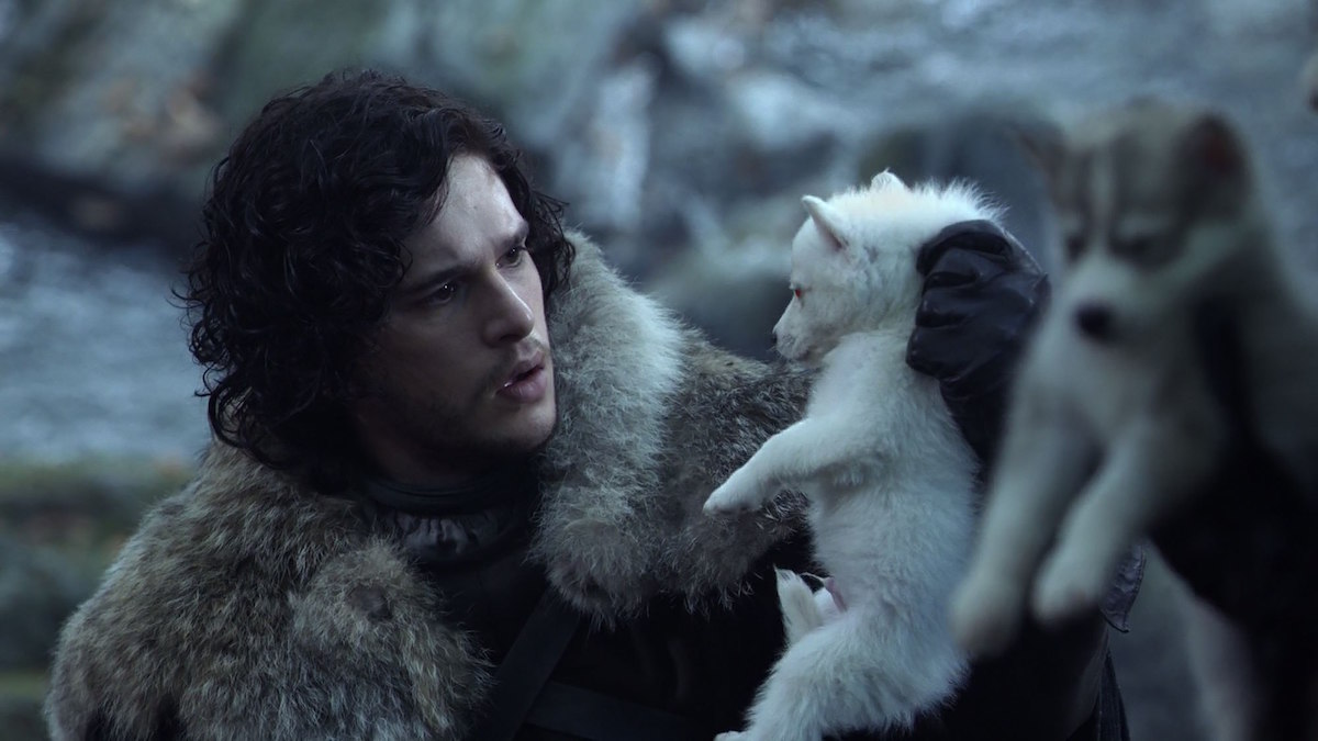 jon snow with ghost pup