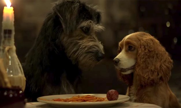D23 2019: First LADY AND THE TRAMP Trailer Will Give You All the Feels