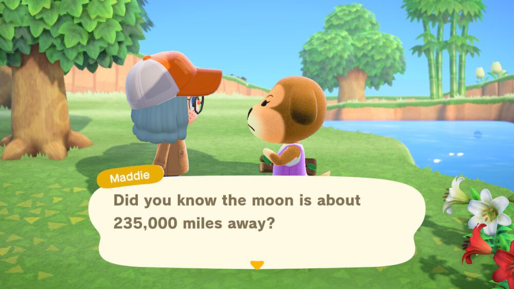 Me chatting with Maddie and learn how far the moon is from the Earth in Animal Crossing: New Horizons.