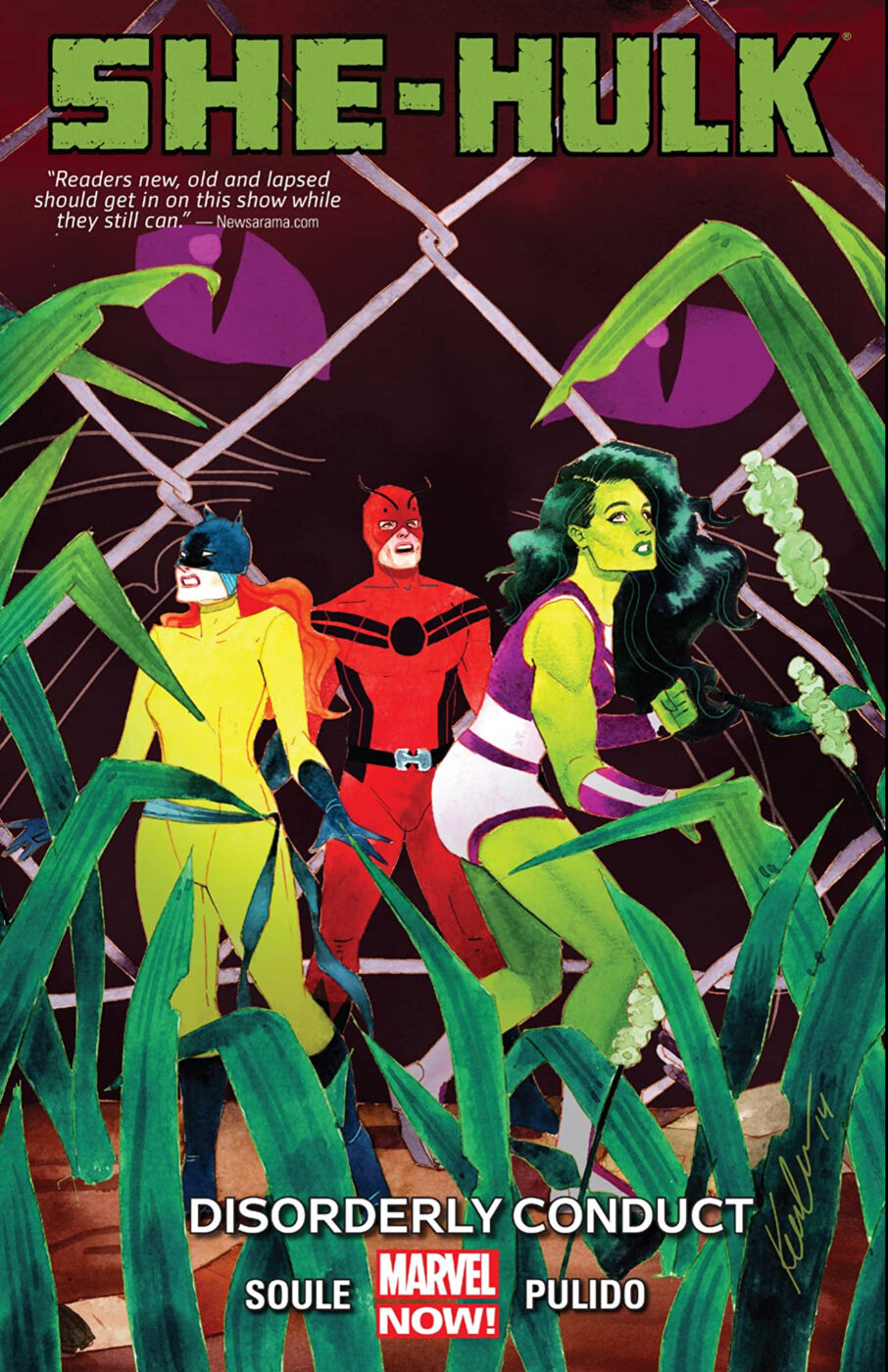 she-hulk disorderly conduct cover