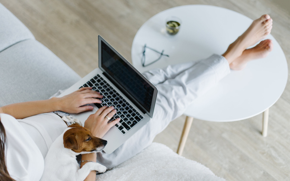 a person writing/blogging on a laptop with a dog in their lap
