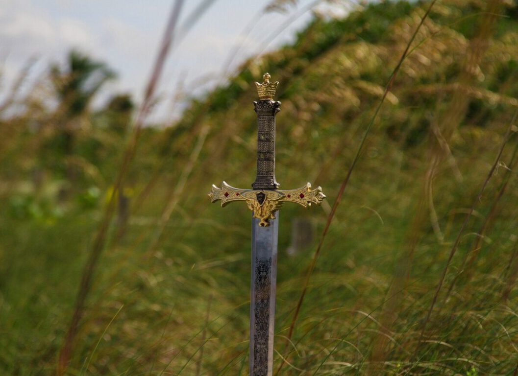 a sword surrounded by weeds
