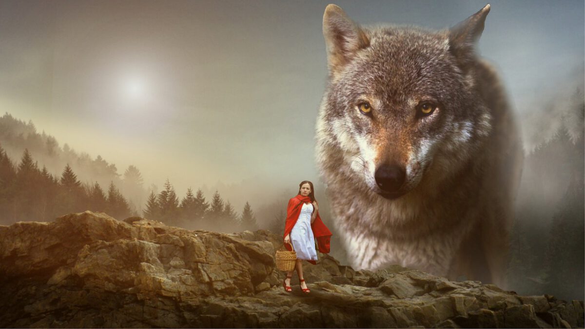 girl in red cloak with large wolf horror love story
