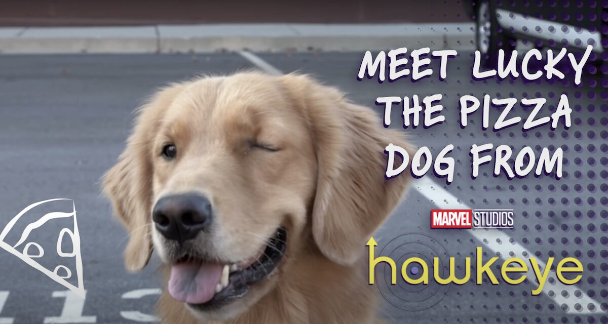 Hawkeye Behind the Scenes Video Is All About PIZZA DOG