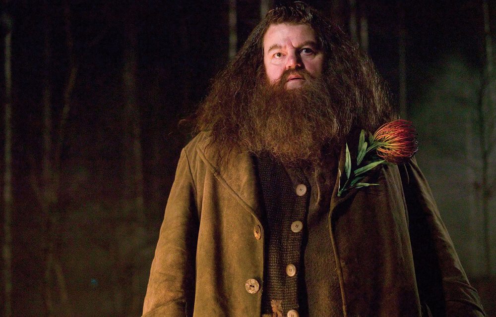 Beloved Scottish Actor and HARRY POTTER Star Robbie Coltrane Passes Away at 72
