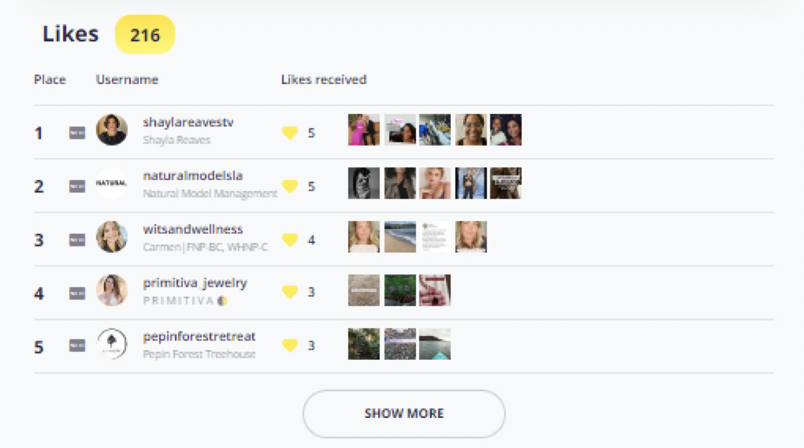 How to See What Someone Liked on Instagram – Snoopreport Review