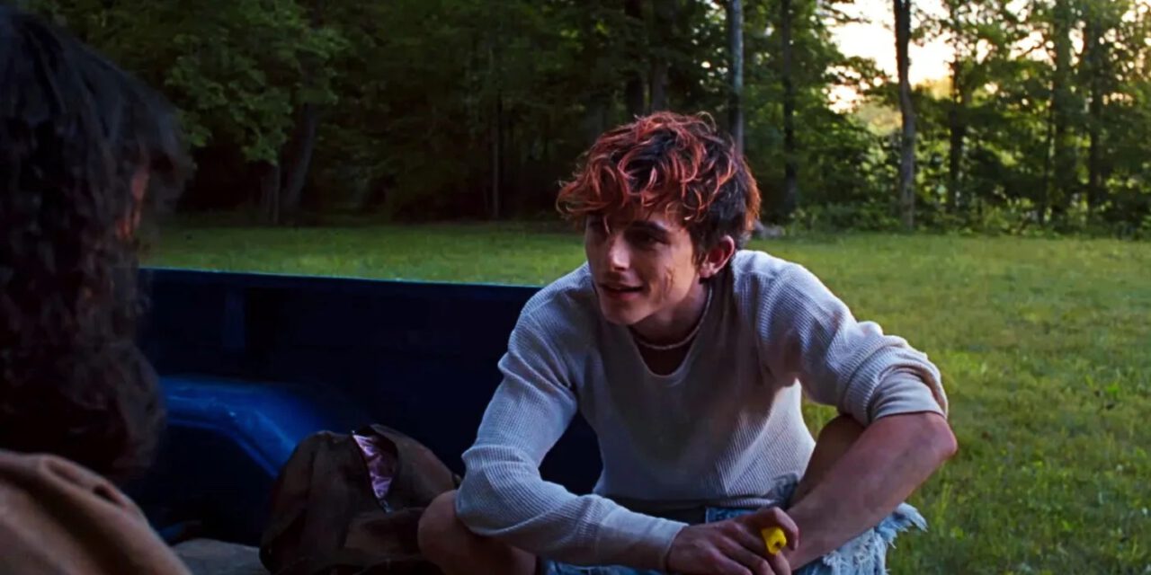 Timothée Chalamet wonders about life in the back of a truck in Bones and All.
