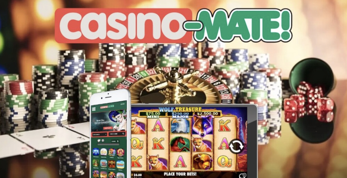 The site says casino: authoritative article