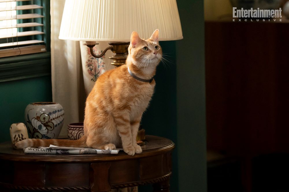 Goose the Flerken, who looks like an orange tabby cat, sits on a nightstand near a lamp.