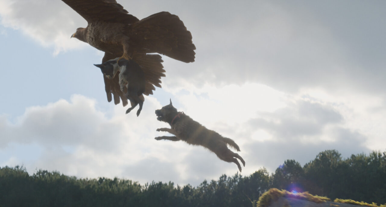 Reggie leaps through the air as a hawk flies away with Bug in its talons. 