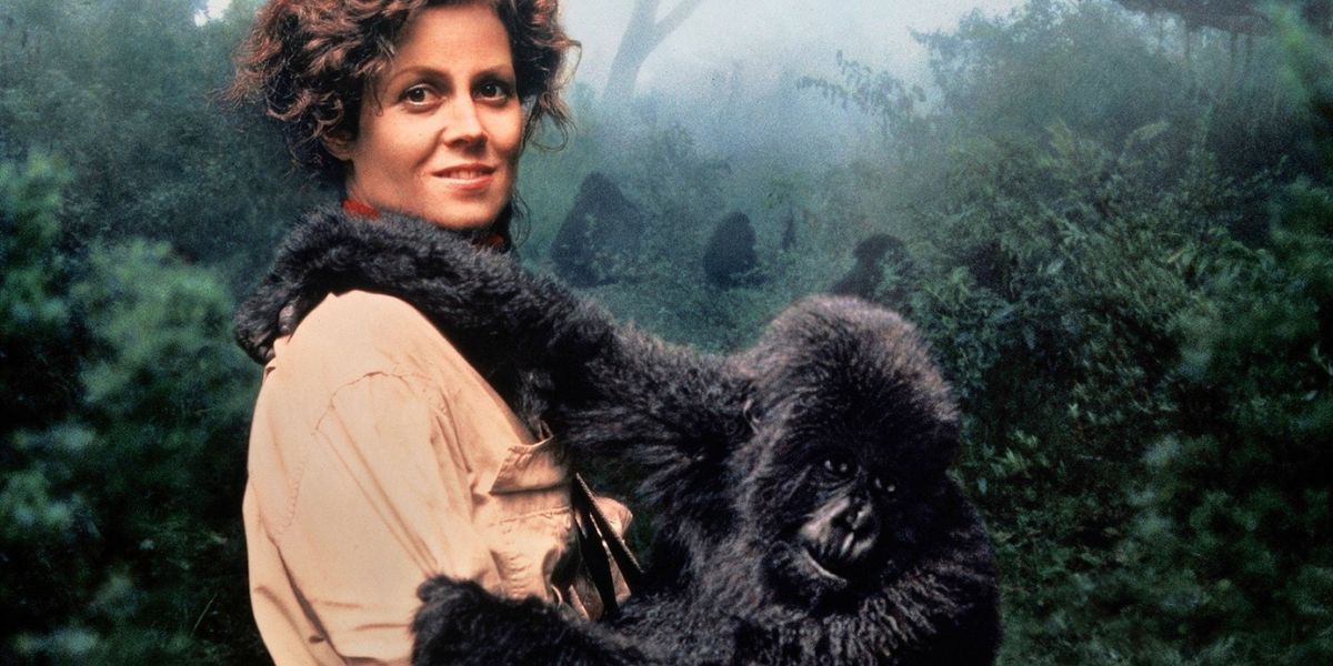 Sigourney Weaver smiling and holding a gorilla.