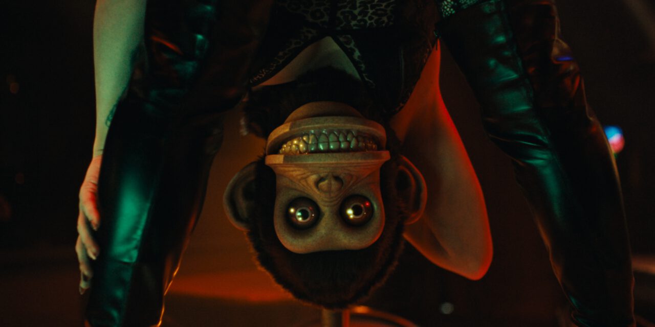 The grinning face of a monkey has replaced the face of a woman looking between a pair of leather boots.