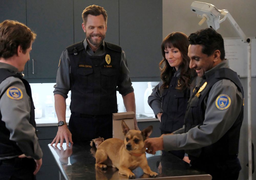 Frank, Victoria, Patel and Shred wear their uniforms while standing around a chihuahua, who's on a steel table, on Animal Control Season 3 Episode 9, "Retrievers and Fruit Bats."