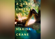 The cover of A Sharp Endless Need is a blurred photograph of two teens sitting outdoors, surrounded by greenery with sunlight filtering through. The teens are not in sharp focus, and their features are indistinct, making everything look fuzzy and dreamllike.