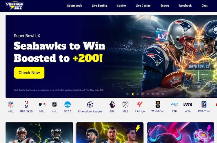 An image of VoltageBet, one of the best New York betting sites